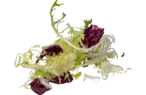 Slamix Van Gelder 500gr